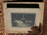 image of grave number 895300